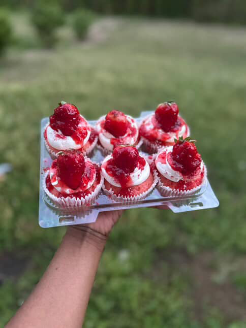 Strawberry Dream Cupcake