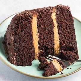 Double Chocolate Peanut Butter Cake (slice)